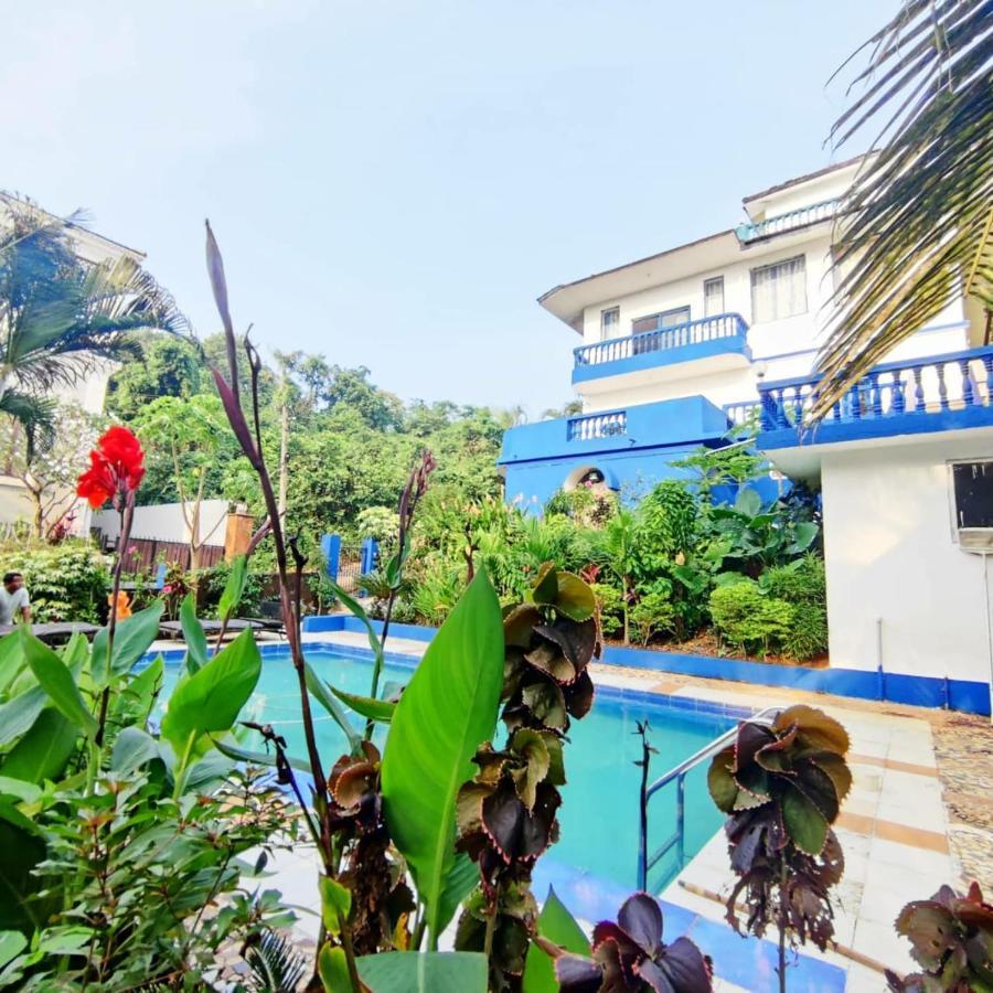 Amazing Hilltop 4 Bhk Villa With Private Pool Near Candolim Kültér fotó
