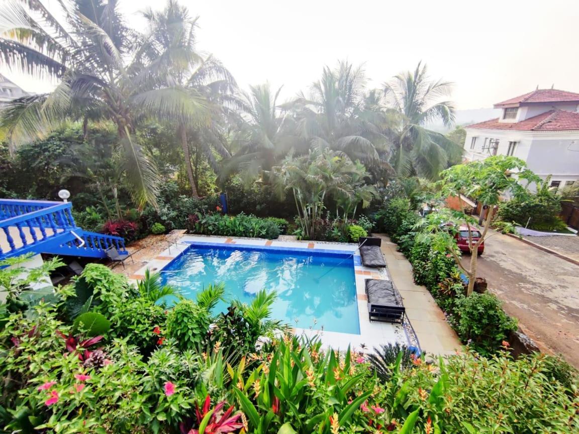 Amazing Hilltop 4 Bhk Villa With Private Pool Near Candolim Kültér fotó